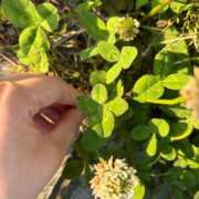 ヒメ日記 2025/06/19 21:35 投稿 かりん S級しろうと娘