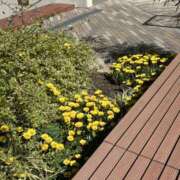 ヒメ日記 2025/07/12 21:49 投稿 ふう スピードエコ日本橋店