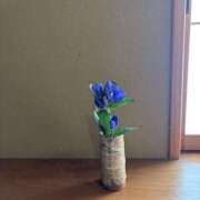 ヒメ日記 2025/08/24 21:19 投稿 ふう スピードエコ日本橋店