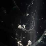 ヒメ日記 2025/09/20 08:59 投稿 ふう スピードエコ日本橋店