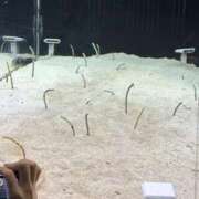 ヒメ日記 2025/10/17 09:09 投稿 ふう スピードエコ日本橋店