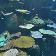 ヒメ日記 2025/11/05 11:17 投稿 ふう スピードエコ日本橋店