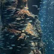 ヒメ日記 2025/11/09 19:15 投稿 ふう スピードエコ日本橋店