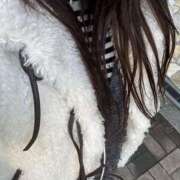 ヒメ日記 2026/01/17 08:49 投稿 ふう スピードエコ日本橋店