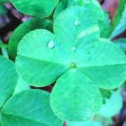 ヒメ日記 2025/06/30 07:30 投稿 あいり VIPクリスタル