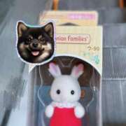 ヒメ日記 2025/07/05 19:17 投稿 まどか LOVE MISSILE（ラブミサイル）