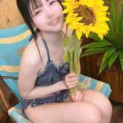 ヒメ日記 2025/07/30 13:20 投稿 ゆき 優しいM性感 五反田