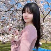 ヒメ日記 2026/04/03 15:10 投稿 ゆき 優しいM性感 五反田