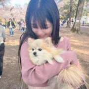 ヒメ日記 2026/04/13 22:19 投稿 ゆき 優しいM性感 五反田