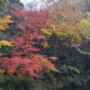 ヒメ日記 2025/10/28 17:31 投稿 月宮しおん(つきみやしおん) 九州熟女　熊本店