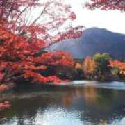 ヒメ日記 2025/11/10 22:52 投稿 月宮しおん(つきみやしおん) 九州熟女　熊本店