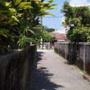 ヒメ日記 2025/11/11 10:59 投稿 月宮しおん(つきみやしおん) 九州熟女　熊本店