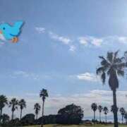 ヒメ日記 2025/12/17 21:19 投稿 月宮しおん(つきみやしおん) 九州熟女　熊本店