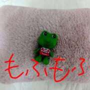 ヒメ日記 2025/12/18 18:39 投稿 月宮しおん(つきみやしおん) 九州熟女　熊本店