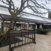 ヒメ日記 2026/01/11 16:09 投稿 月宮しおん(つきみやしおん) 九州熟女　熊本店