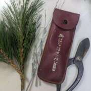 ヒメ日記 2026/01/16 22:59 投稿 月宮しおん(つきみやしおん) 九州熟女　熊本店