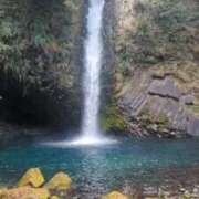 ヒメ日記 2026/01/30 00:39 投稿 月宮しおん(つきみやしおん) 九州熟女　熊本店