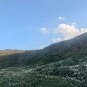 ヒメ日記 2026/01/31 00:39 投稿 月宮しおん(つきみやしおん) 九州熟女　熊本店