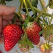 ヒメ日記 2026/02/01 18:29 投稿 月宮しおん(つきみやしおん) 九州熟女　熊本店