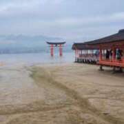 ヒメ日記 2026/02/14 09:06 投稿 月宮しおん(つきみやしおん) 九州熟女　熊本店