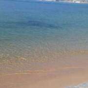 ヒメ日記 2026/02/22 00:56 投稿 月宮しおん(つきみやしおん) 九州熟女　熊本店