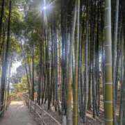 ヒメ日記 2026/02/23 12:06 投稿 月宮しおん(つきみやしおん) 九州熟女　熊本店