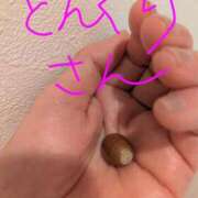 ヒメ日記 2026/03/06 23:36 投稿 月宮しおん(つきみやしおん) 九州熟女　熊本店