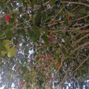 ヒメ日記 2026/03/07 17:26 投稿 月宮しおん(つきみやしおん) 九州熟女　熊本店