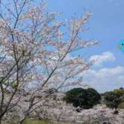 ヒメ日記 2026/04/05 00:12 投稿 月宮しおん(つきみやしおん) 九州熟女　熊本店