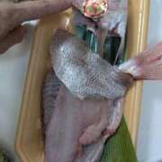 ヒメ日記 2026/05/13 20:56 投稿 月宮しおん(つきみやしおん) 九州熟女　熊本店