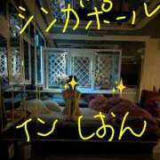 ヒメ日記 2026/07/07 00:00 投稿 月宮しおん(つきみやしおん) 九州熟女　熊本店