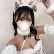 ヒメ日記 2025/08/19 08:35 投稿 ひめ【プレミアム】 大人のゴシャール