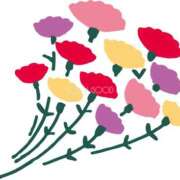 ヒメ日記 2025/08/18 17:57 投稿 しょうこ 完熟ばなな神戸・三宮店