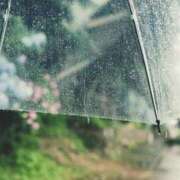 ヒメ日記 2025/06/23 06:00 投稿 櫻井結 プルデリR40