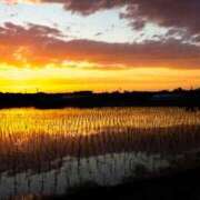 ヒメ日記 2025/06/24 17:45 投稿 櫻井結 プルデリR40