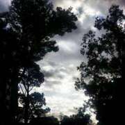 ヒメ日記 2025/07/04 05:17 投稿 櫻井結 プルデリR40