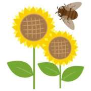 ヒメ日記 2025/07/04 18:22 投稿 櫻井結 プルデリR40