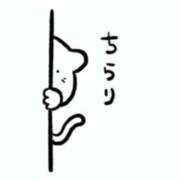 ヒメ日記 2025/07/09 18:16 投稿 櫻井結 プルデリR40