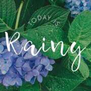 ヒメ日記 2025/06/24 06:15 投稿 櫻井結 プルデリR40滋賀店