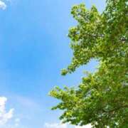 ヒメ日記 2025/06/26 05:30 投稿 櫻井結 プルデリR40滋賀店