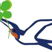 ヒメ日記 2025/06/27 06:15 投稿 櫻井結 プルデリR40滋賀店