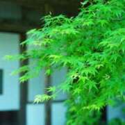 ヒメ日記 2025/07/21 05:30 投稿 櫻井結 プルデリR40滋賀店