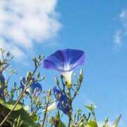 ヒメ日記 2025/08/03 05:15 投稿 櫻井結 プルデリR40滋賀店