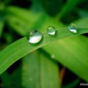 ヒメ日記 2025/08/08 05:30 投稿 櫻井結 プルデリR40滋賀店