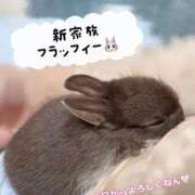 ヒメ日記 2025/07/04 10:30 投稿 はるな スパーク日本橋