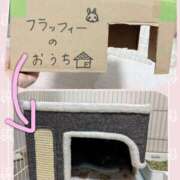 ヒメ日記 2025/07/16 17:00 投稿 はるな スパーク日本橋