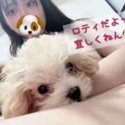 ヒメ日記 2025/08/06 16:07 投稿 はるな スパーク日本橋