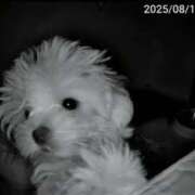 ヒメ日記 2025/08/13 12:02 投稿 はるな スパーク日本橋