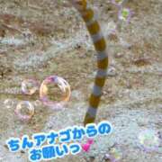 ヒメ日記 2025/08/17 22:26 投稿 はるな スパーク日本橋