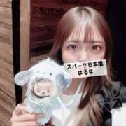 ヒメ日記 2025/08/24 19:34 投稿 はるな スパーク日本橋